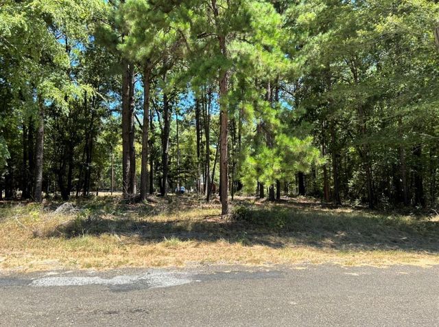 0 Willowick Lane, Livingston, TX 77351