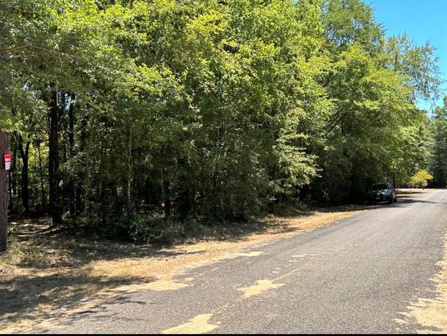 0 Willowick Lane, Livingston, TX 77351