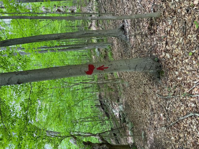 650 Peekskill Hollow Road, Putnam Valley, NY 10579