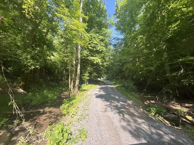 150 Amons Ln, Lafayette, TN 37083