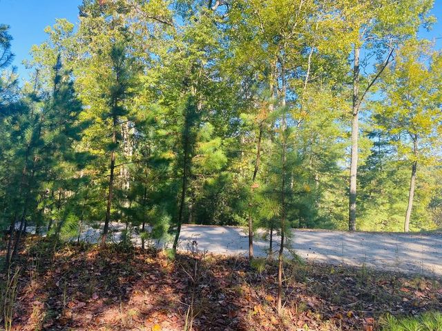 Lot 34 Point Overlook Trail, Murphy, NC 28906