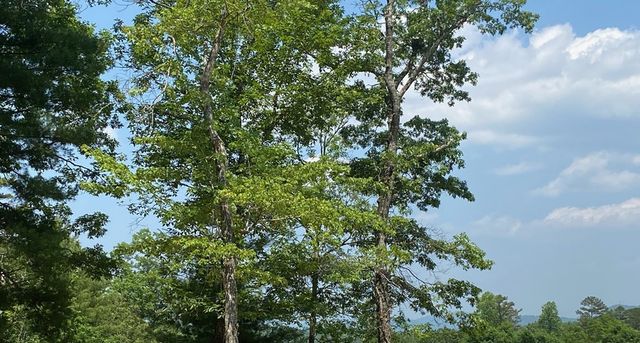 Lot 34 Point Overlook Trail, Murphy, NC 28906