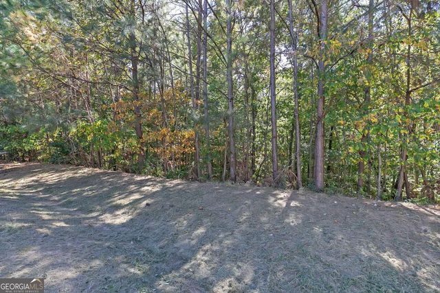 2520 Thunder Basin Way, Douglasville, GA 30135