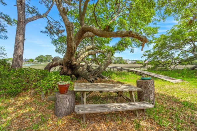 1486 Springwater Court, Charleston, SC 29412