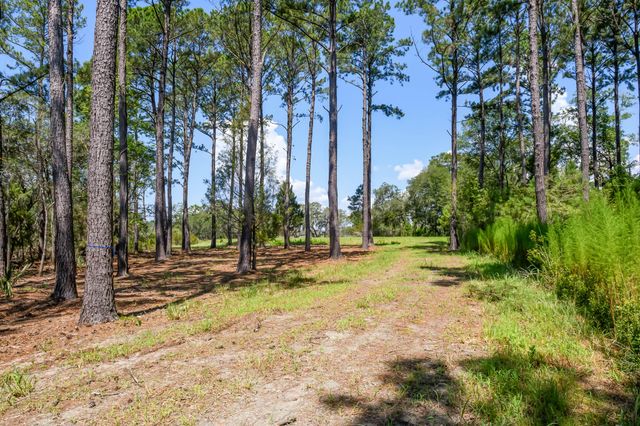 6258 Josie Ridge Road, Wadmalaw Island, SC 29487