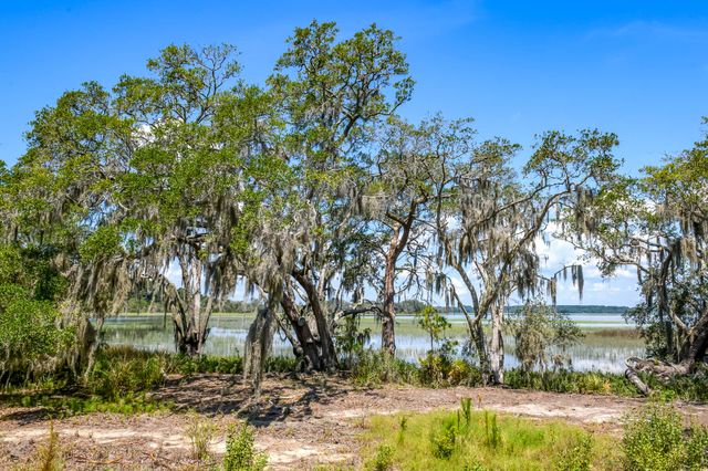 6258 Josie Ridge Road, Wadmalaw Island, SC 29487