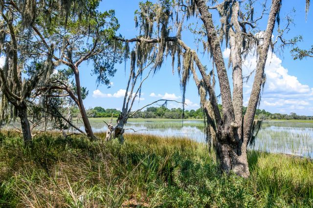 6258 Josie Ridge Road, Wadmalaw Island, SC 29487