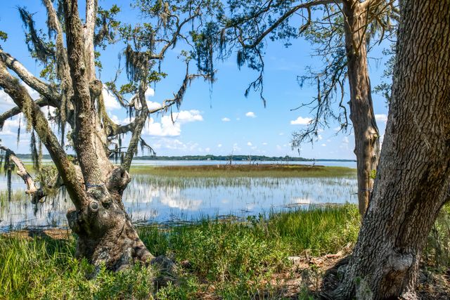 6258 Josie Ridge Road, Wadmalaw Island, SC 29487