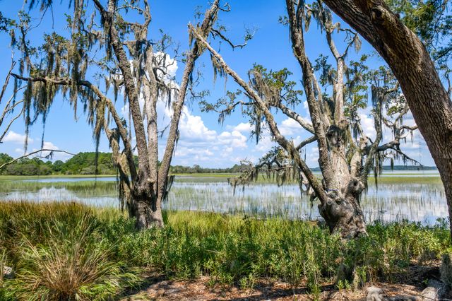 6258 Josie Ridge Road, Wadmalaw Island, SC 29487