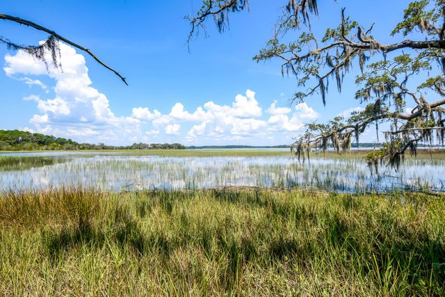 6258 Josie Ridge Road, Wadmalaw Island, SC 29487