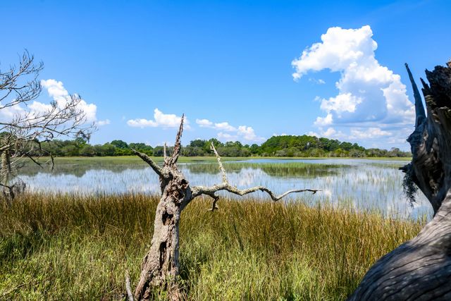 6258 Josie Ridge Road, Wadmalaw Island, SC 29487