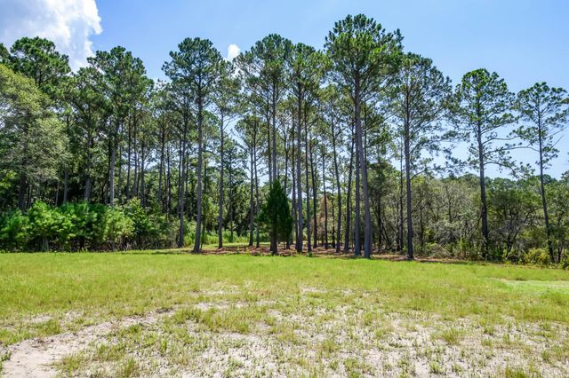 6258 Josie Ridge Road, Wadmalaw Island, SC 29487