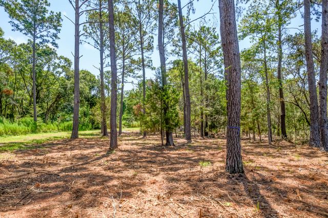 6258 Josie Ridge Road, Wadmalaw Island, SC 29487