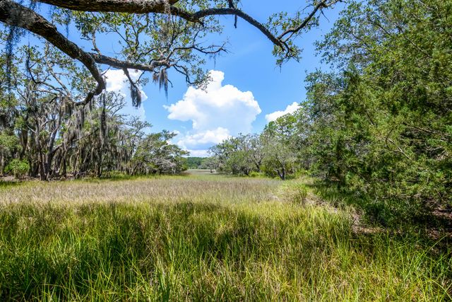 6258 Josie Ridge Road, Wadmalaw Island, SC 29487