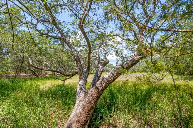 6258 Josie Ridge Road, Wadmalaw Island, SC 29487
