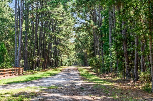6258 Josie Ridge Road, Wadmalaw Island, SC 29487