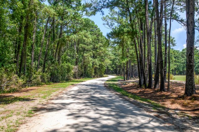 6258 Josie Ridge Road, Wadmalaw Island, SC 29487
