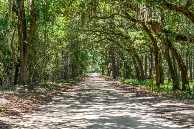 6258 Josie Ridge Road, Wadmalaw Island, SC 29487