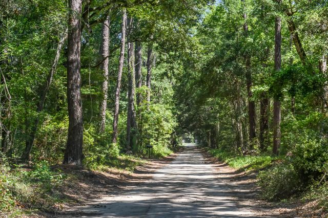 6258 Josie Ridge Road, Wadmalaw Island, SC 29487