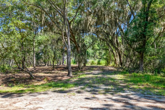 6258 Josie Ridge Road, Wadmalaw Island, SC 29487