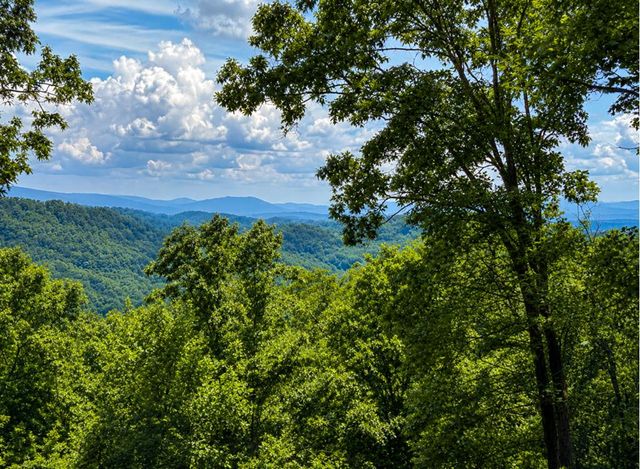 649 Weaver Creek Way, Blue Ridge, GA 30513