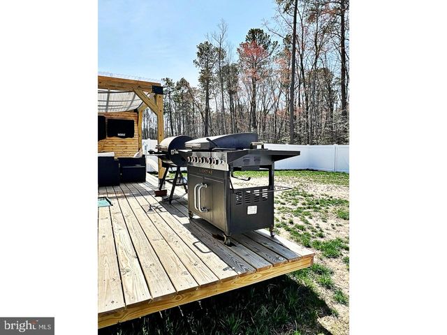 517 CURRANT CIR, Magnolia, DE 19962