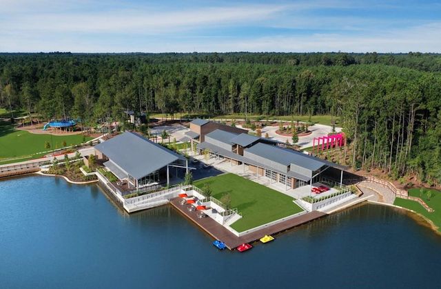 17003 Sweet Iris Court, Conroe, TX 77302