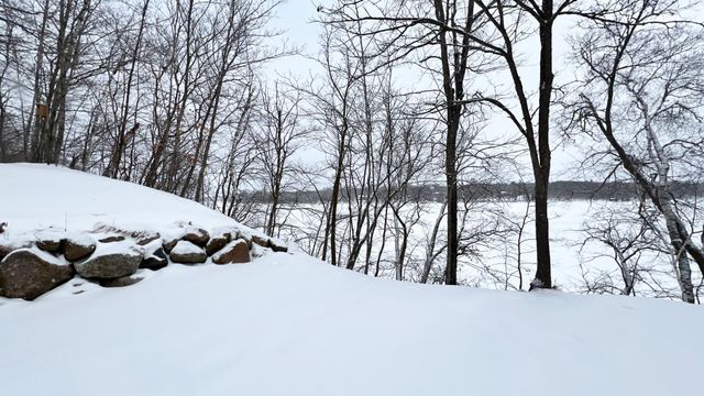 31598 SW Pickerel Lake Road, Detroit Lakes, MN 56501