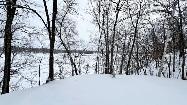 31598 SW Pickerel Lake Road, Detroit Lakes, MN 56501