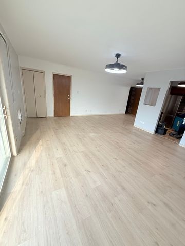 1925 Canal Street 3D, Blue Island, IL 60406