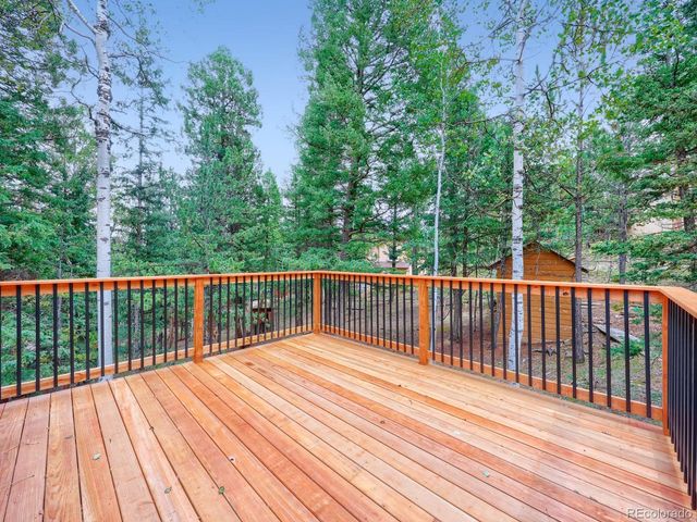 44 Anderson Rd, Florissant, CO 80816