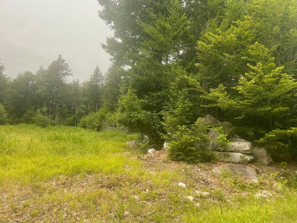Lot 3A Allen Mountain Trail, Denmark, ME 04022 — exterior