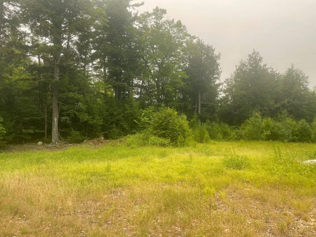 Lot 3A Allen Mountain Trail, Denmark, ME 04022 — photo 4