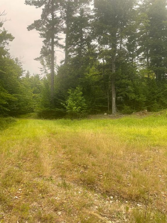 Lot 3A Allen Mountain Trail, Denmark, ME 04022 — photo 5