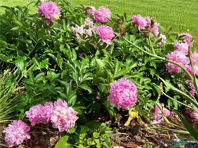 289 King Carter Lane, Weems, VA 22576