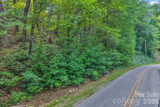 00 Hogback Mountain Road 63, Tryon, NC 28782