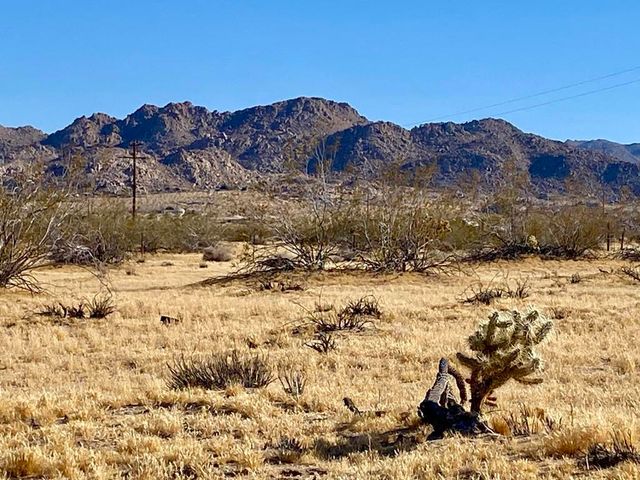 407 California Avenue, Joshua Tree, CA 92252