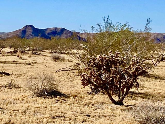 407 California Avenue, Joshua Tree, CA 92252