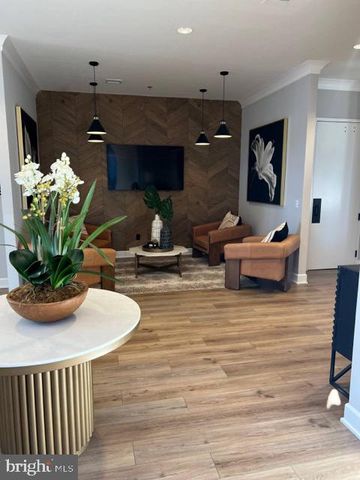 20879 MURRY FALLS TER, Ashburn, VA 20147