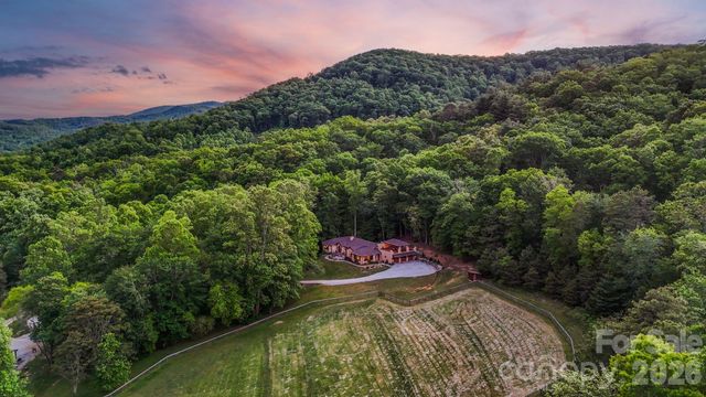 959 & 957 Dave Whitaker Road, Horse Shoe, NC 28742