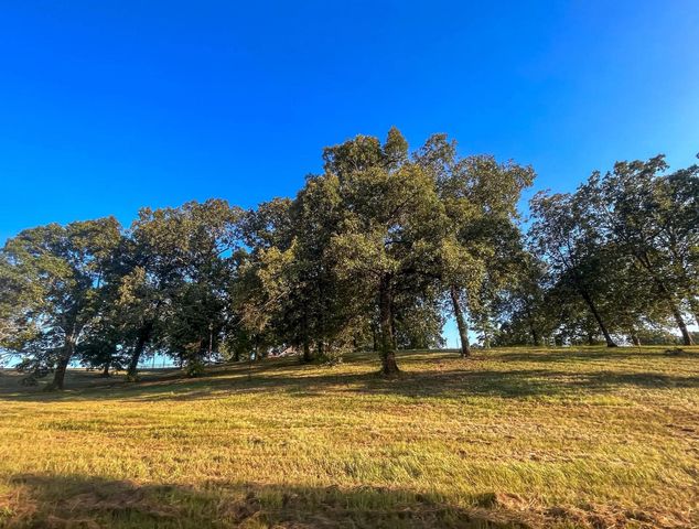 5560 & 5600 Texas Highway 8, Linden, TX 75563