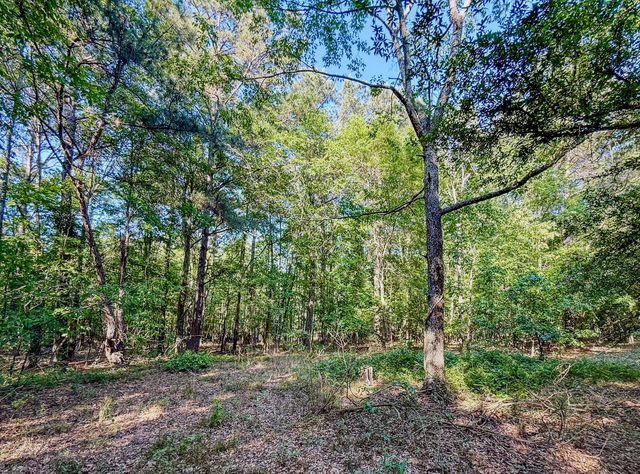 11481 Voorhees Road, Denmark, SC 29042
