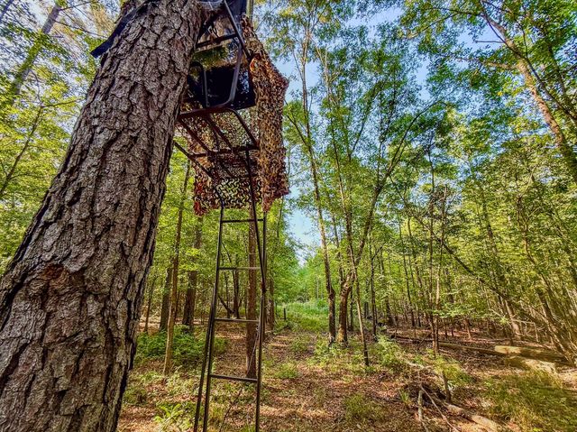 11481 Voorhees Road, Denmark, SC 29042
