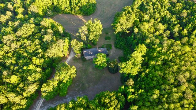 11481 Voorhees Road, Denmark, SC 29042