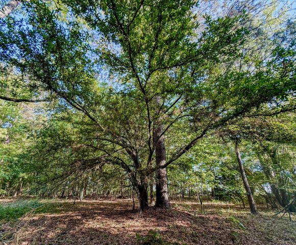 11481 Voorhees Road, Denmark, SC 29042
