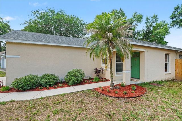 11917 MANGO GROVES BOULEVARD, Seffner, FL 33584