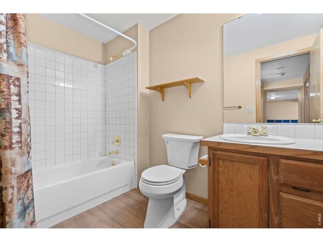 1235 Honeysuckle Ct, Windsor, CO 80550