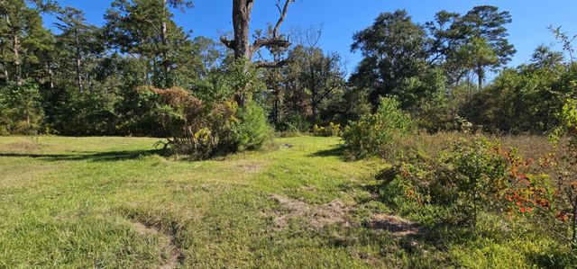 13497 Morgan Drive, Splendora, TX 77372