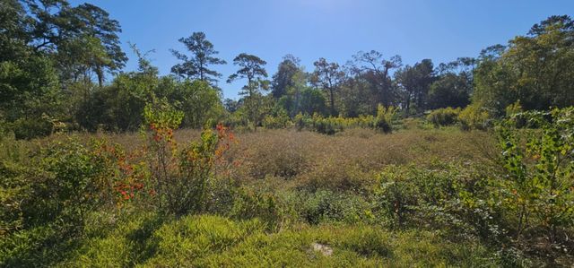 13497 Morgan Drive, Splendora, TX 77372