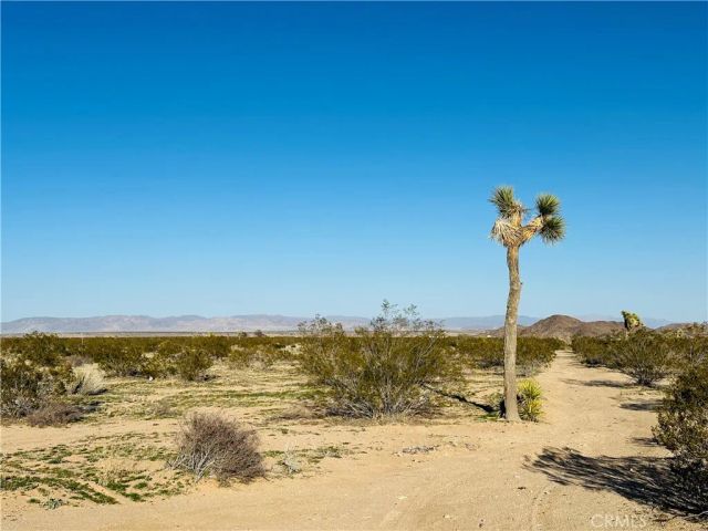 1974 Sunset, Joshua Tree, CA 92252